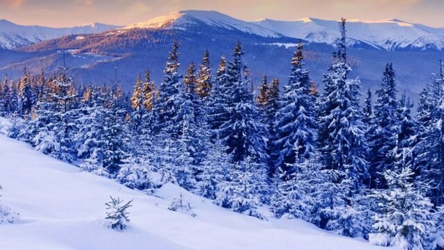 Самые красивые фотографии в мире природы в России, Беларуси, на свете. Картинки hd зимой, весной, летом, осенью, лес, пейзажи, закаты, с животными, высокого качества на рабочий стол